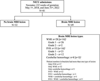 Regional cerebral oxygen saturation variability and brain injury in preterm infants